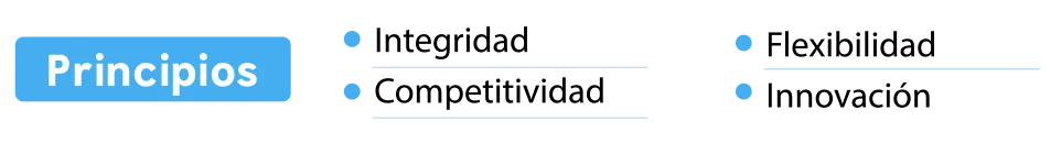 Responsive Principios Grafica | EEGSA