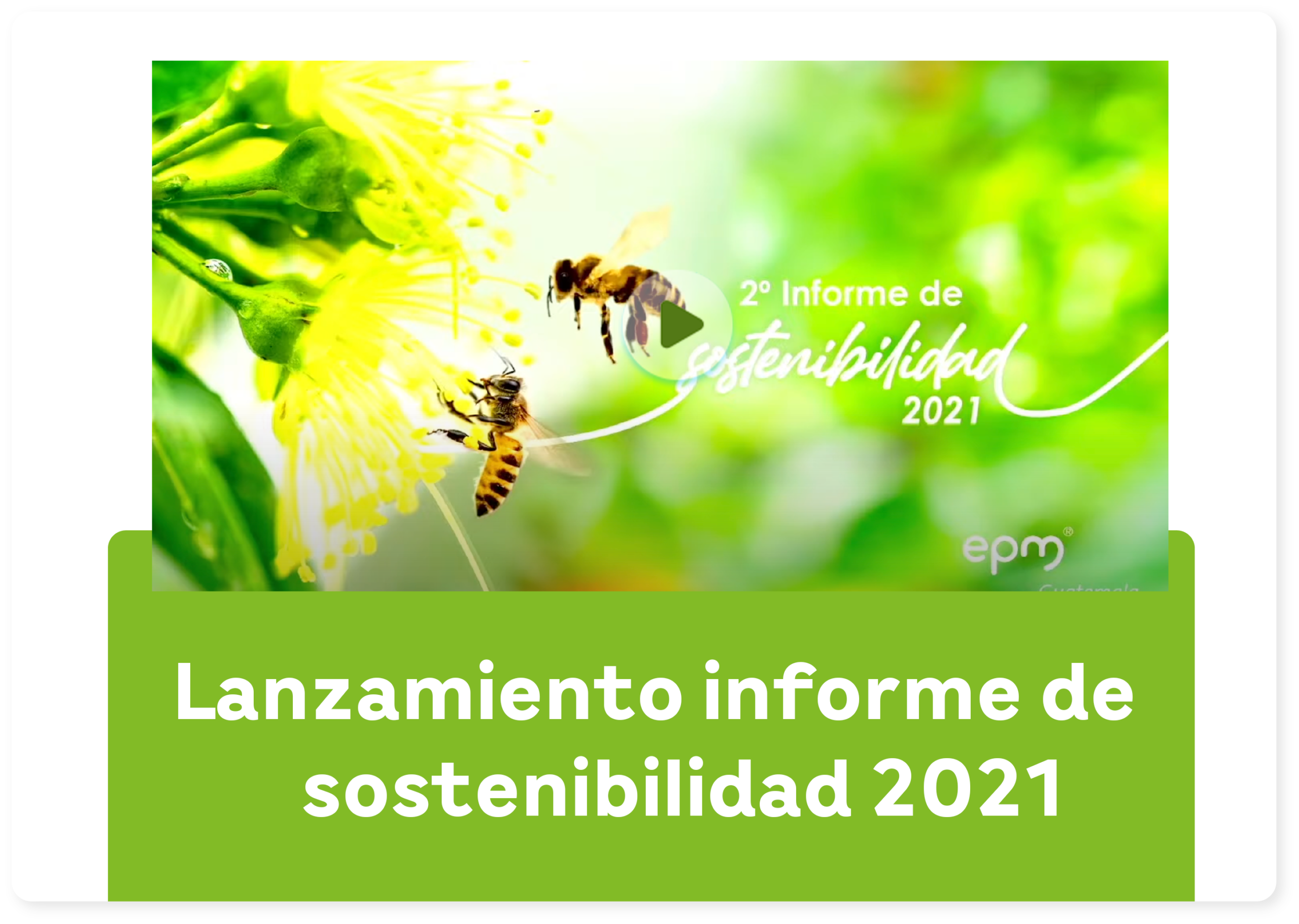 2021video Scaled | EEGSA