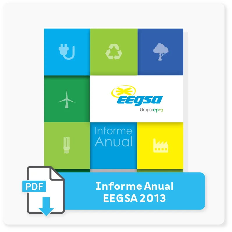 Informe 2013 | EEGSA