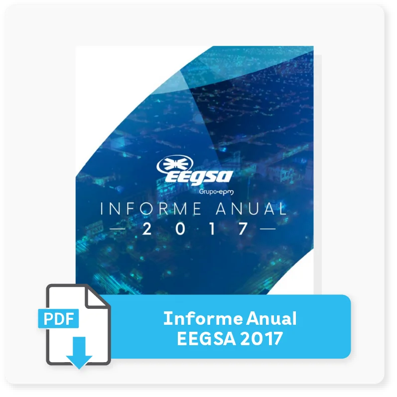 Informe 2017 | EEGSA