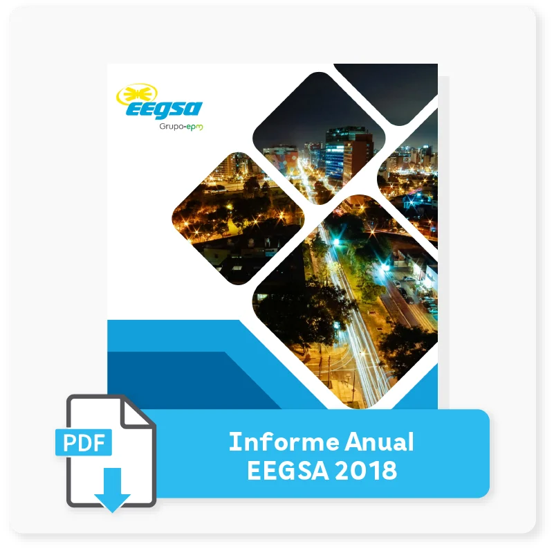 Informe 2018 | EEGSA