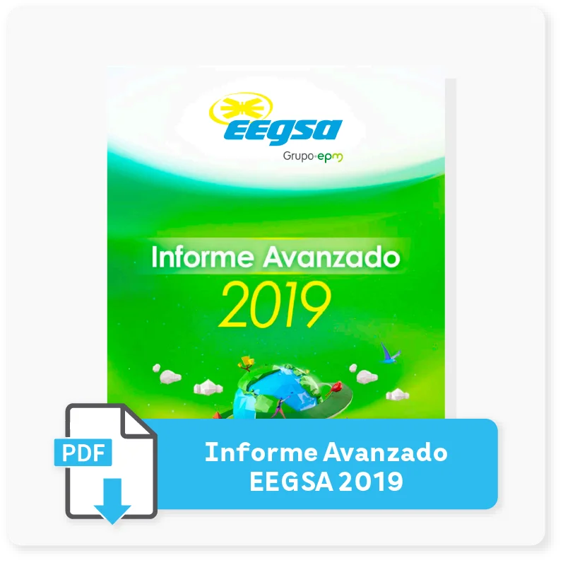 Informe 2019 | EEGSA