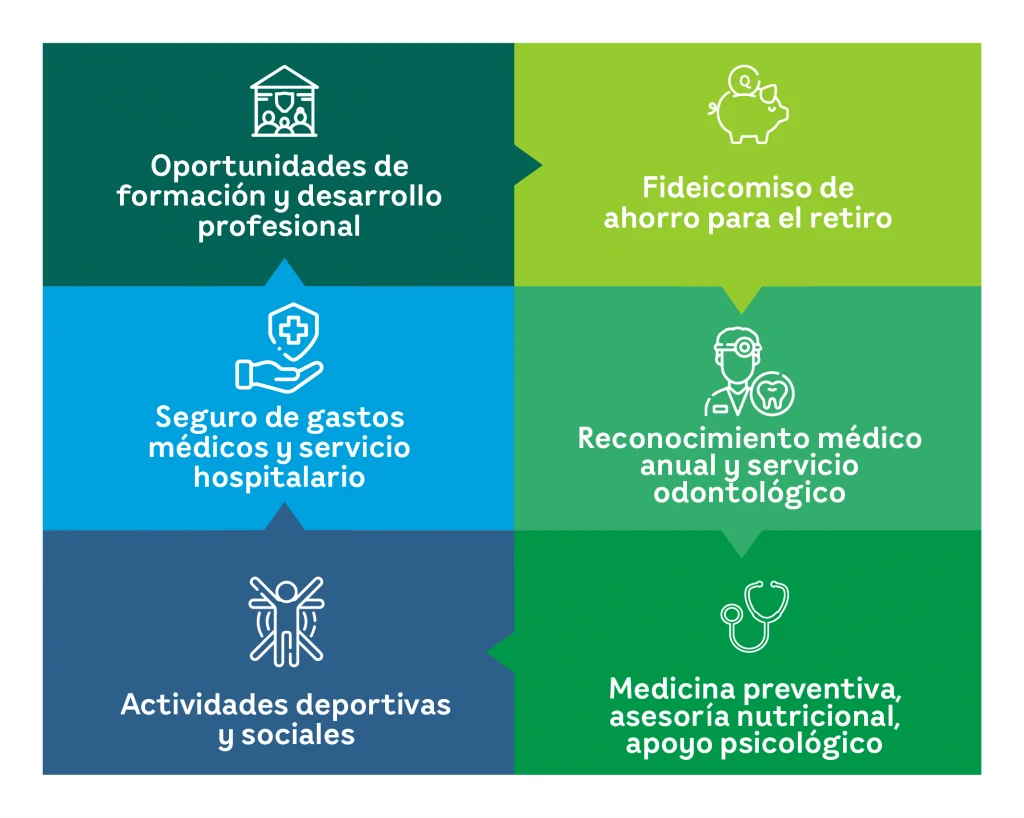 Infografia Beneficios Desktop | EEGSA