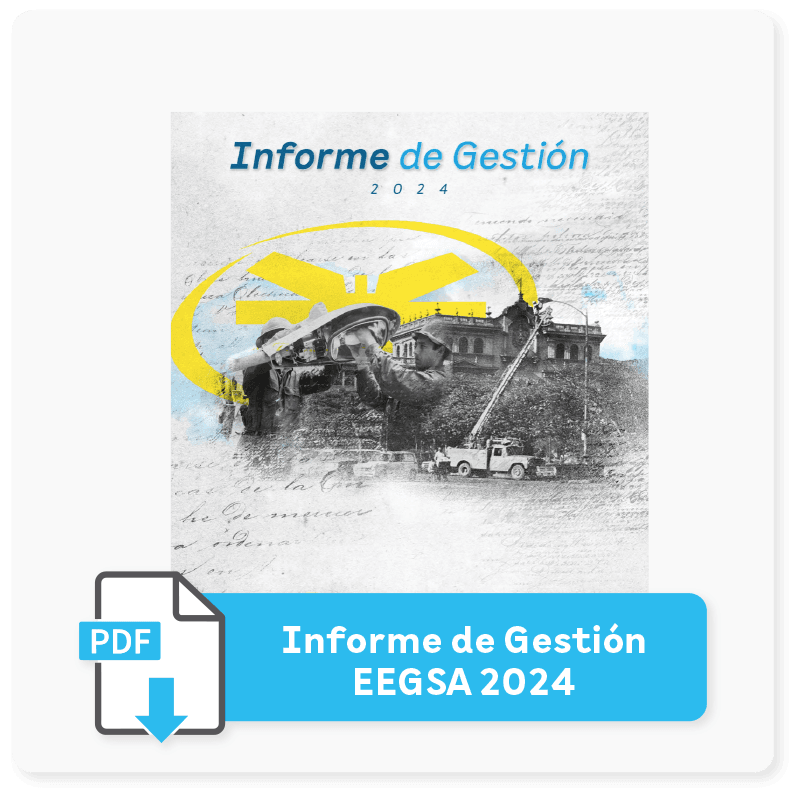 Informe 2024 Eegsa