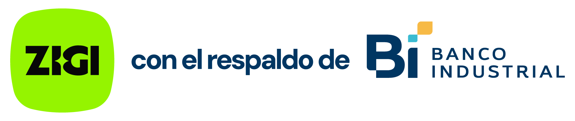 ZIGI RESPALDO Bi 2 | EEGSA