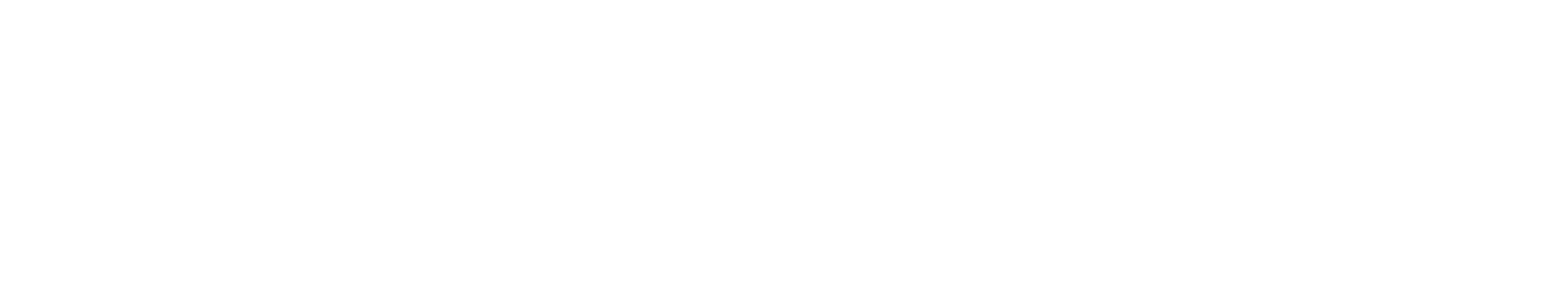 Zigi Logo Blanco | EEGSA