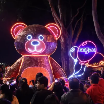 Foto Alumbrado 8 | EEGSA